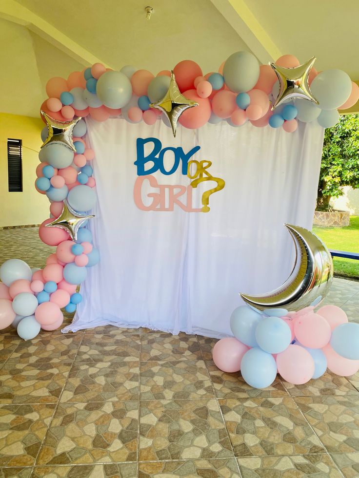 'Boy or Girl?' Pastel Gender Reveal Arch with Moon & Stars