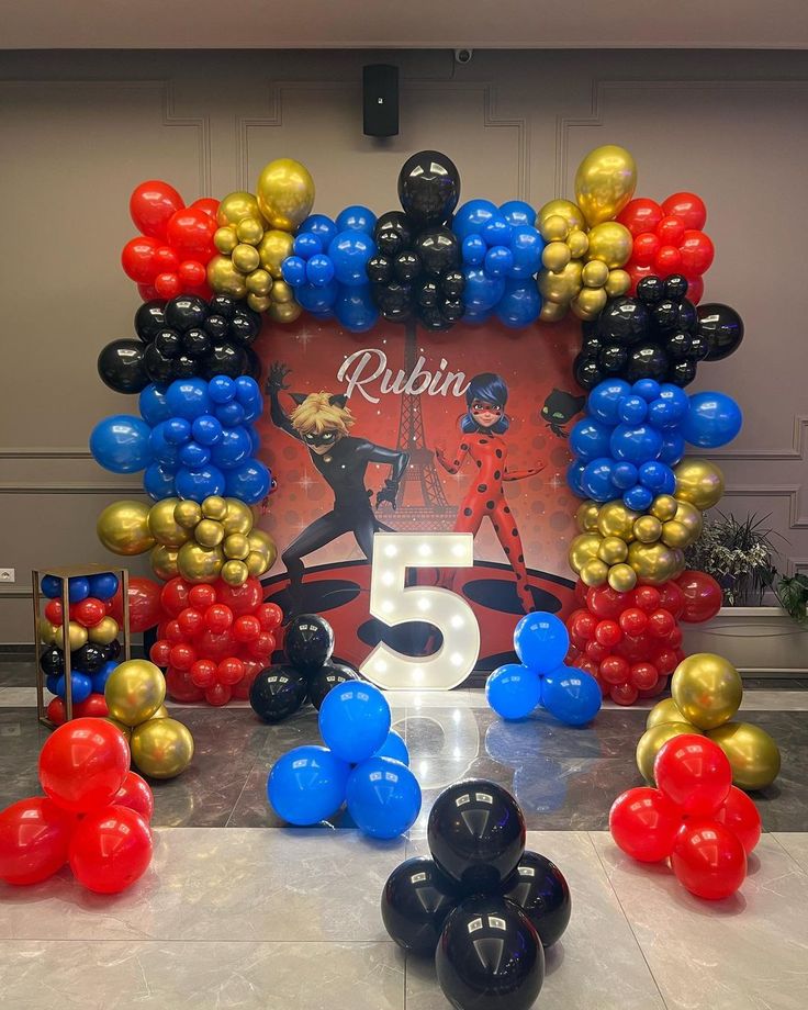 Rubin Miraculous Ladybug 5th Arch